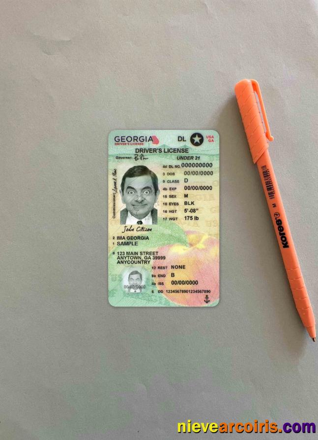 USA Georgia driving license photolook